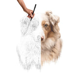 Handgezeichnetes Haustierportrait als Bilddatei