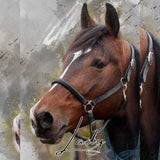 Handgezeichnetes Pferdeportrait als Bilddatei